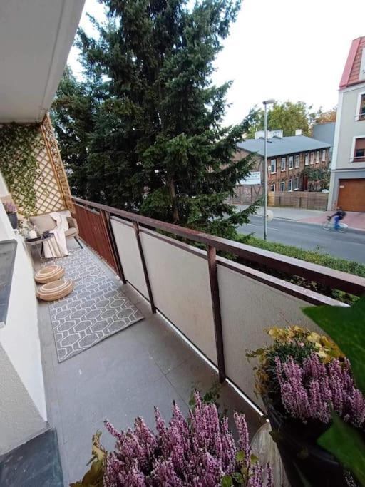 Apartament Podgorna 19 Torun Exterior photo