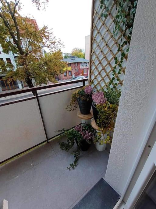 Apartament Podgorna 19 Torun Exterior photo